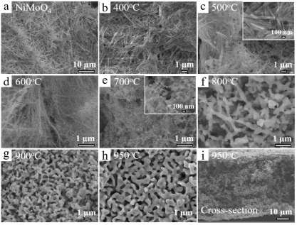 Figure 2. SEM images of (a) pristine NiMoO4 nanofiber; (b-i) temperature effect of 3D porous structure formation on samples annealed at 400oC-950oC
