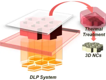 Figure 1. Sketch of Digital Light Processing (DLP) setup that projects dynamic digital masks on the  photocurable formulation featuring the formation of the polyethylene glycol diacrylate structure