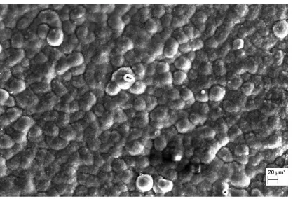 Figure 8 shows micrograph of PPy films deposited at 0.8V after 120 h exposure in 0.1 mol.L-1 NaCl
