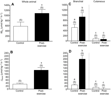 Table 1. Calculation of skin-specific rates and corrected distribution oḟ M O2 and JAmm in branchial and cutaneous components