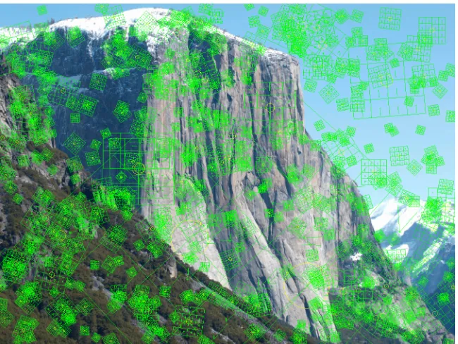 Figure .: Example visualization of SIFT features detected in an image.