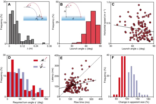 Fig. 2. Prerequisites for introducing vertical speed as an independent variable in archerfish fast-start decision-making