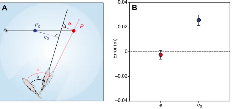 Fig. 3. Archerfish account for verticalspeed.φthe required turn angle ( (A) Scheme of errors in C-startturn angle φ made either to the real impactpoint P (error e) or to point P0 obtained inthe same situation when vertical speed isignored (error e0)
