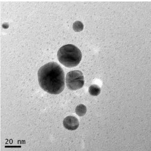 Figure 3.10. TEM image for unwashed AgNP1 particles. Image obtained by Tecnai F20. 