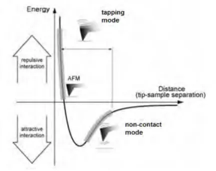 Figure 2.11. Relation between the force and the distance between atoms (PSIA 2002). 
