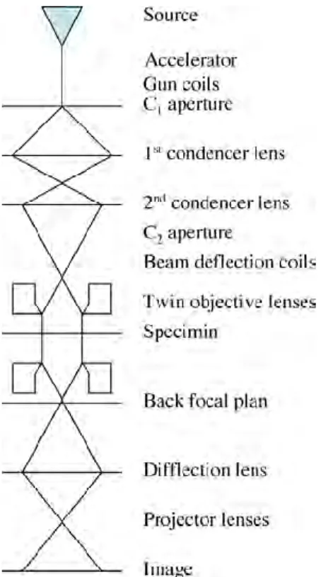 Figure 2.16. Schematic presentation of a transmission electron microscope and the electron path