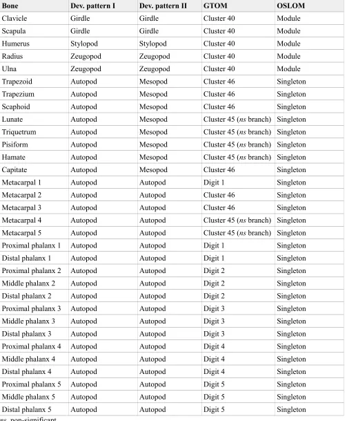 Table 3. Divisions of the human upper limb compared.
