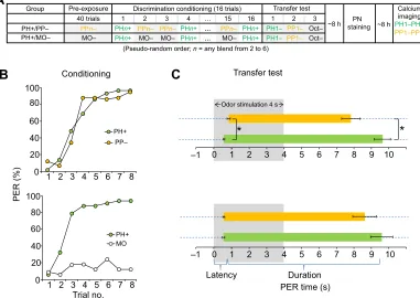 Fig. 3. Behavioral conditioning.s HSD test, revealed significant differences in response duration− (*P<0.01), whereas responses were not significantly different in PH+/MO−–*(PH6)to PH1 and PP1 in the differentially conditioned bees PH+/PPblend PH1 vs PP1 (