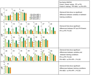 Fig. 7. Contribution of individual glomerulito the different activity patterns elicited bybees for PH and PP varieties for each specificglomerulus