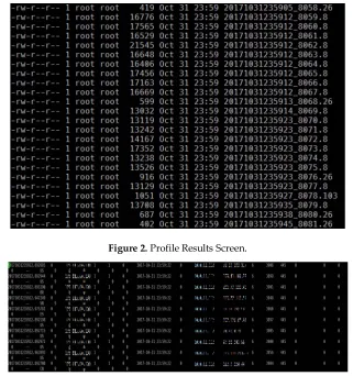 Figure 2. Profile Results Screen. 