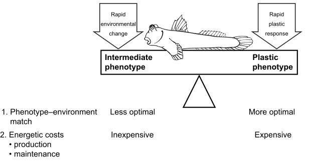 Table 1. Properties of water and air and the physiological consequences