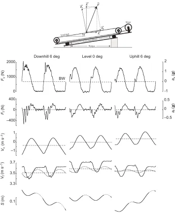 Fig. 1. Schema of the instrumentedtreadmill (top) and typical time traces of arow: vertical velocity of the COM,body weight andcomponent parallel to the long axis of thetreadmill surface,to the tread surface andinto contact phase (continuous line) andaeria