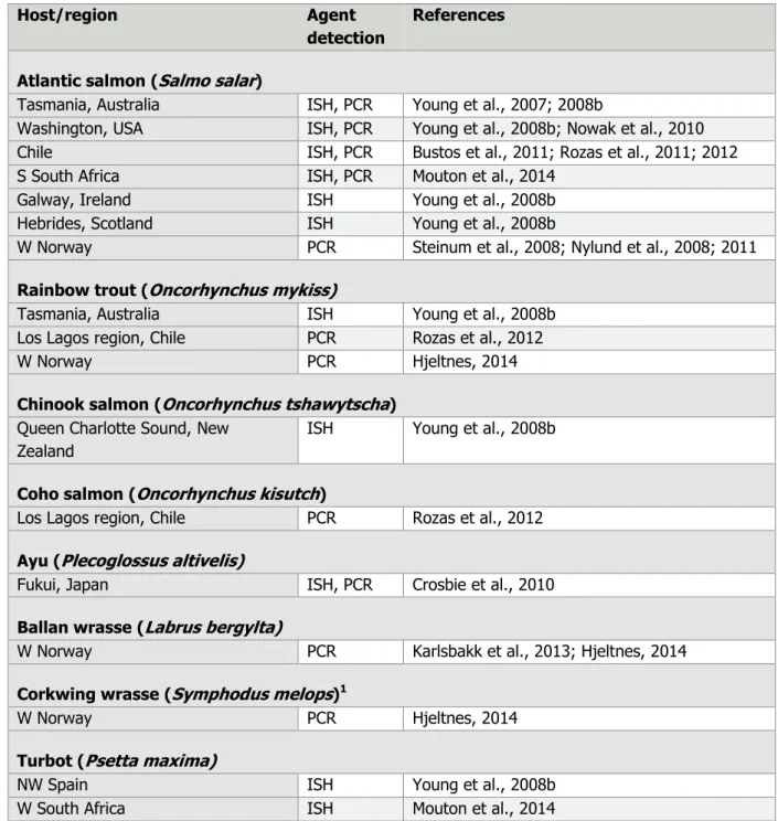 Table 1.4-1  Host species in which  Paramoeba perurans  infections have been verified, either by  in  situ  hybridisation (ISH) or by PCR (conventional or  real-time  PCR)