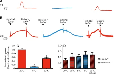 Fig. 2B), APs with a plateau (Fig. 2C) or APs with two peaks