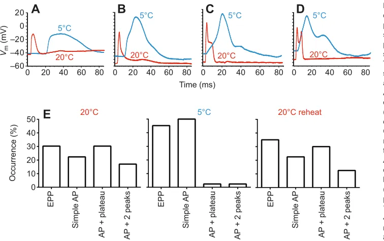 Fig. 2. Effects of low temperature on