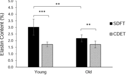 Figure 1. Elastin content expressed as a percentage of dry weight of tendon tissue from 14 horses aged 3 to 7 years (defined as young group, n = 7) and 15 to 19 years (old group, n = 7)