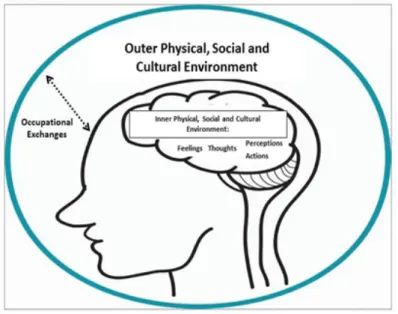 FIGURE 5.  Occupational Pattern-Forming System. 
