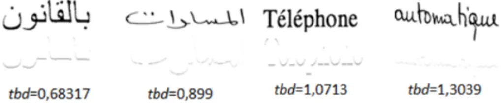 Figure 12: Connected component profiles analysis.