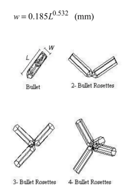 Fig. 1: Bullet and Bullet Rosettes with different angles of junction 