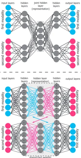 Figure 2: Illustration of the architectures of a clas- clas-sical multimodal autoencoder (top) and a  bidirec-tional symmetrical deep neural network (bottom)