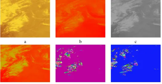 Figure 5: Using multi-channel satellite data for segmentation. (a) 3.9 micron infrared (b) 6.7 micron water vapor (c) 11 micron window (d) 12 micron dirty window  chan-nels of data