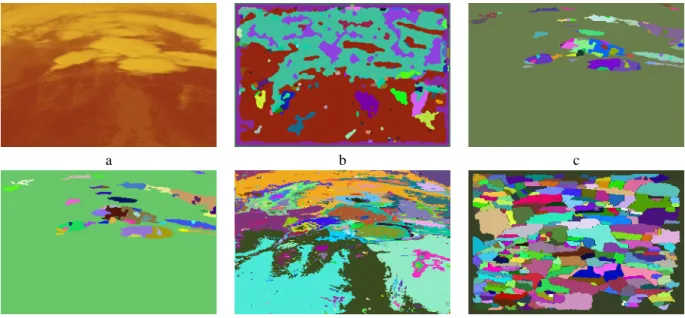 Figure 3: Segmenting an infrared satellite weather image. (a) The infrared image being segmented
