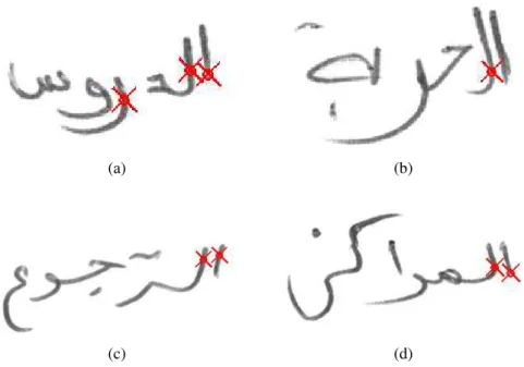Figure 3.11: Segmentation of sub-words based on projection profile method. The hidden or occluded sub-words are not detected here