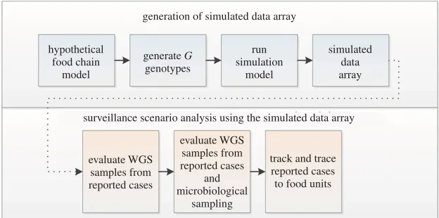 Figure 1. Chronology of the analytical framework. A simulated data array, containing relevant epidemiological and genomic data, wasgenerated from a simple food chain model