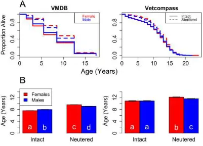 Figure 1. (A) Kaplan-Meier plots and (B) Mean Longevities for the four dog sexes. Females are represented in red, males in blue