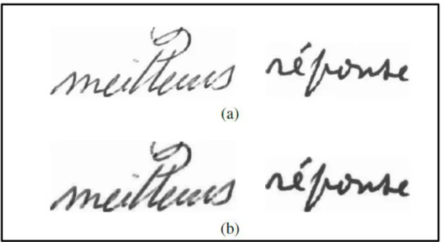 Figure 2.4 (a) Sample images (b) thickness normalised versions