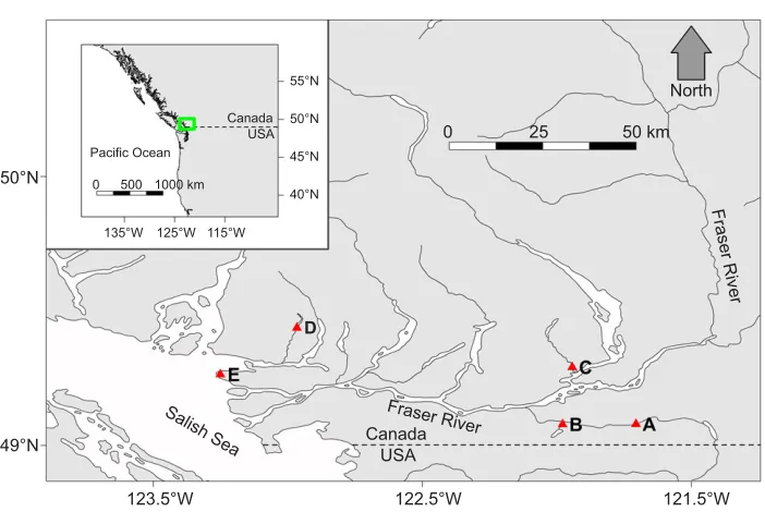 Fig. 2. Mthree values oḟ O2 data used to calculatė M O2,min in coho salmon.Example data from four individuals are shown in the top twopanels