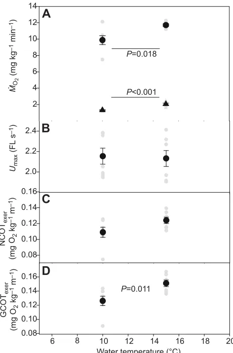 Fig. 3. Metabolic and swimming performance metrics for coho salmon.Mean±s.e. (black symbols) for (A) minimum (triangles) and maximummaximum swimming (NCOT(circles) oxygen consumption rates (̇M O2,min anḋ M O2,max, respectively),(B) maximum swimming speed 