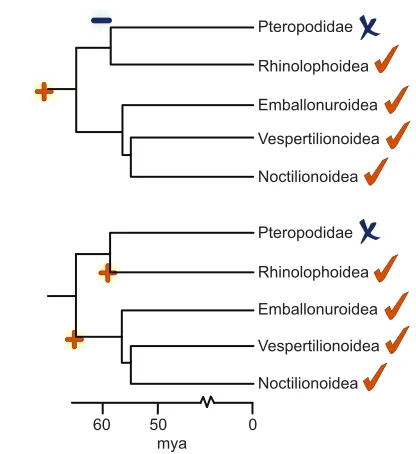 Fig. 1. Two equally parsimonious scenarios for the evolution of laryngealecholocation in bats