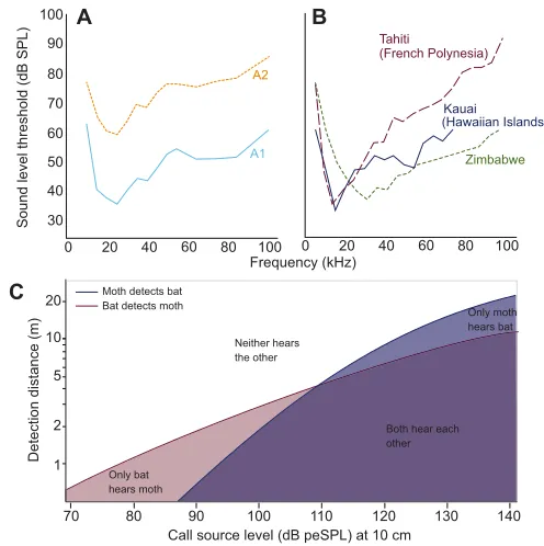 Fig. 3. Moth auditory tuning curves and distance model for bat–moth