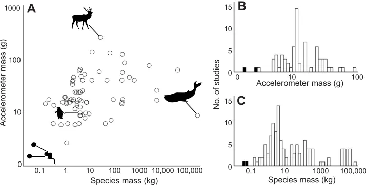 Fig. 1. Plot and histograms of focal species and accelerometer mass in previous behavioral studies employing accelerometers