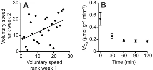 Fig. 2. Results from the preliminary experiment. (A) Voluntary speed wasrepeatable within individuals (significant regression line is shown; N=26 fish;=0.48, P<0.015, y=7.06+0.48x) over the period of 1 week, indicating that it is astable phenotypic trait