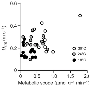 Fig. 4. Critical sustained swimming speed (UBothcrit) and metabolic scope. Ucrit and metabolic scope increased with test temperature (18, 24 and30°C), but there was no significant effect of metabolic scope on Ucrit within testtemperatures
