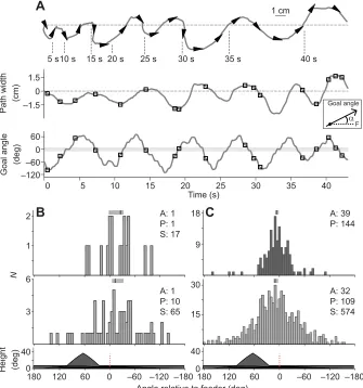 Fig. 2. Saccade-like turns (SLTs) and path directions of ants trained to a point outside a shape