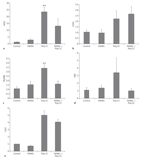 Fig. 6.   Expression levels of inflammatory markers iNOS, COX2 of adaptor proteins MyD88 and TRIF, and TLR3 in primary mouse microglia after RANKL pretreatment and Poly I:C treatment