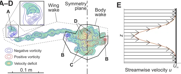 Fig. 2. Visualisation of wake vorticity and velocity deficit−1