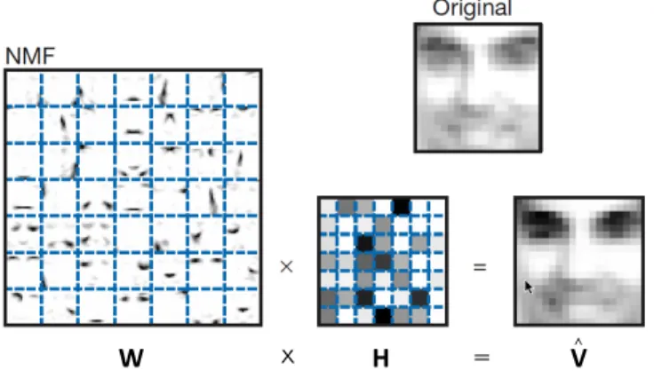 Figure 2.1.1. Reconstruction of a face using NMF. Non-negative matrix  factoriza-tion learns a parts-based representafactoriza-tion of faces: the W shown here is a set of r = 7 2 = 49 basis images (the eyes, the nose, the mouth, etc)