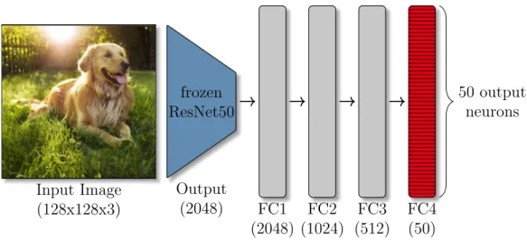 Figure 4.15: Our baseline-network architecture for a total of 50 categories. First, the feature map of each image is calculated by a completely frozen ResNet50 network
