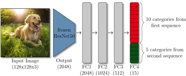 Figure 5.2: Expanding network at the second sequence: Compared to the network in the first sequence (see figure 5.1), only the last layer of this network changes from ten to 15 neurons