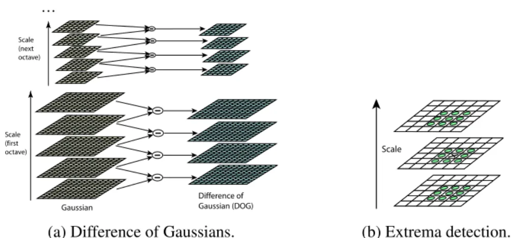 Figure 1: For each octave of scale space, the initial image is repeatedly convolved with Gaussians to produce the set of scale space images shown on the left