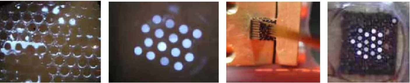 Figure 6. Photos of test assemblies, using either a drilled aperture mask (left) or a mount filled with empty capillaries (right) to insert  the optical fibers