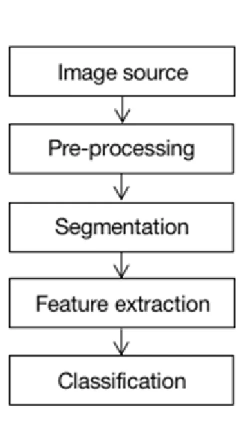 Figure 2: Phases of hand-write recognition 