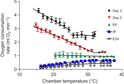 Fig. 7C). There were no differences in the ratio of LEAK5,38N versusOXPHOS between sides or among ages (Fig