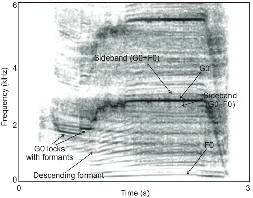 Fig. 2. Narrowband spectrogram of a typical male wapiti bugle. Two