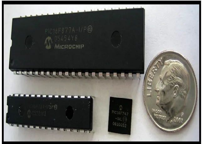 Figure 2.1: The different shape, size and type of PIC chip  
