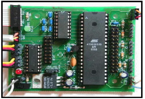Figure 2.2: The Basic Microcontroller Architecture Inside a PIC Cchip. 